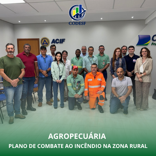 Notícia Câmara Técnica de Agropecuária do CODESF debate plano de prevenção e combate a incêndios na zona rural